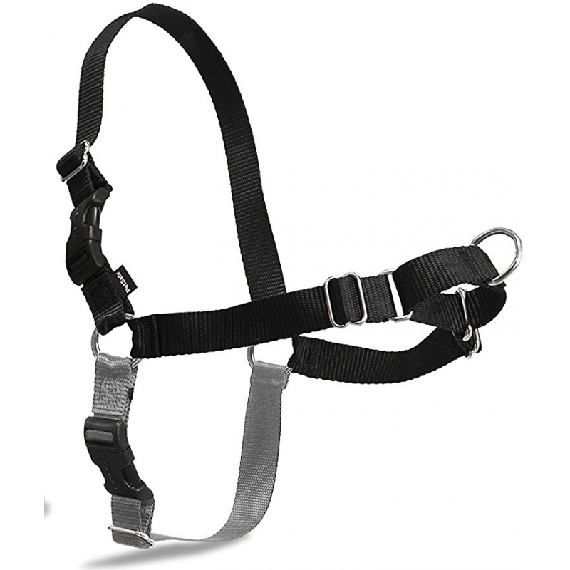 Petnešos šunims nuo tempimo Easy Walk Harness