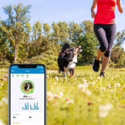 Tractive GPS DOG 4 lokatorius šunims