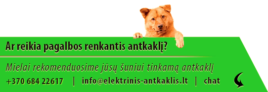 Ar reikia pagalbos renkantis antkaklį?